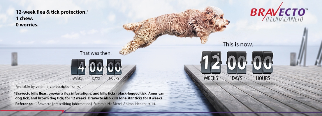North Fork Veterinary Clinic - Pet Tips and Information Brookville, PA | North Fork ... : North fork veterinary hospital provides the best possible medical care, surgical care and dental care for dogs and cats of virginia.